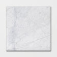 Carrara T Marble Tiles